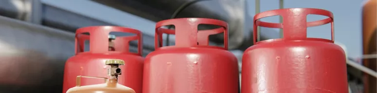 banner_img